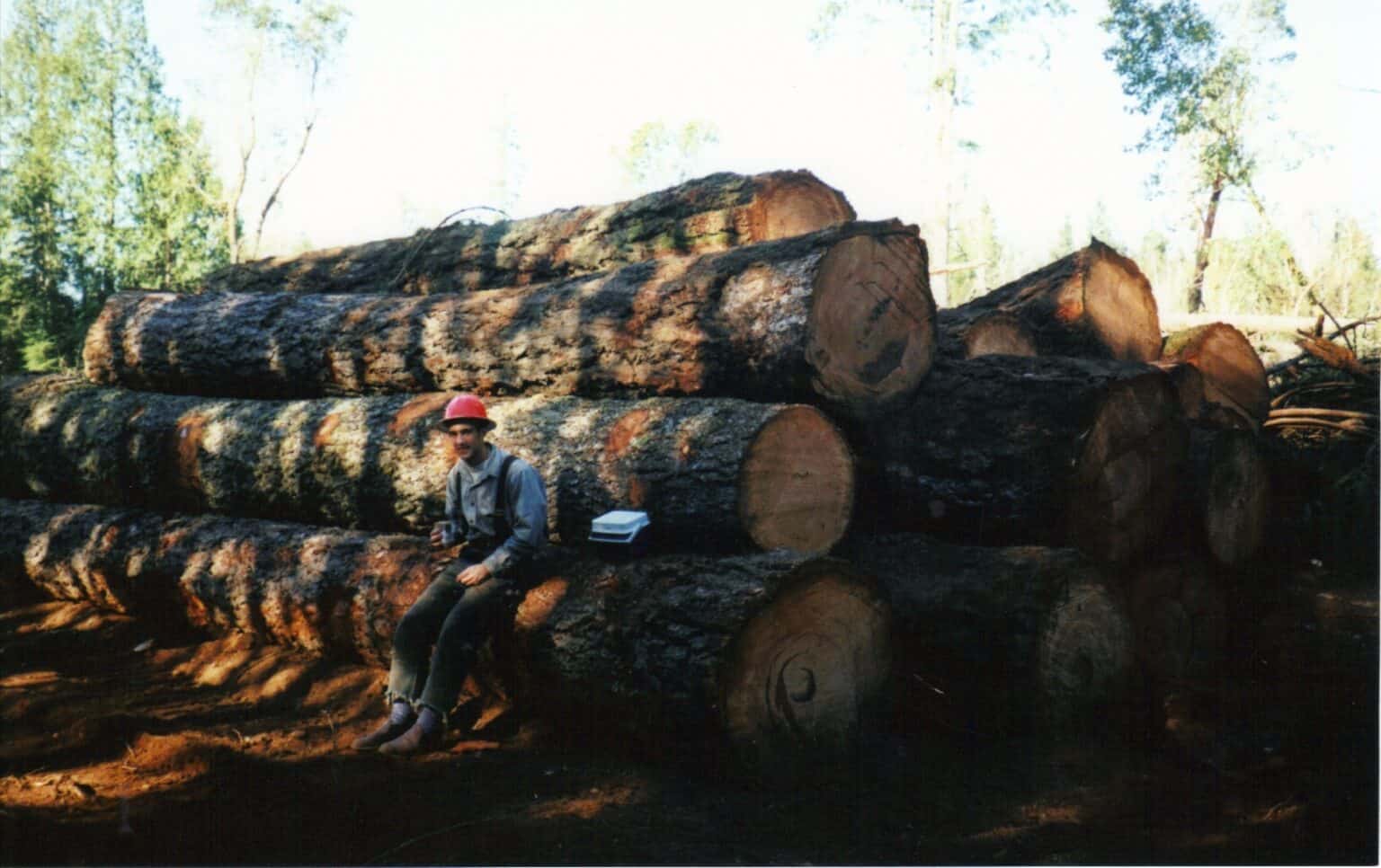 Logging companies kitsap county cedarland forest resources