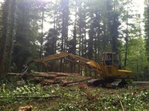 Logging - Washington State - Cedarland Forest Resources