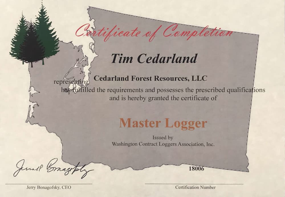 master-logger-scale